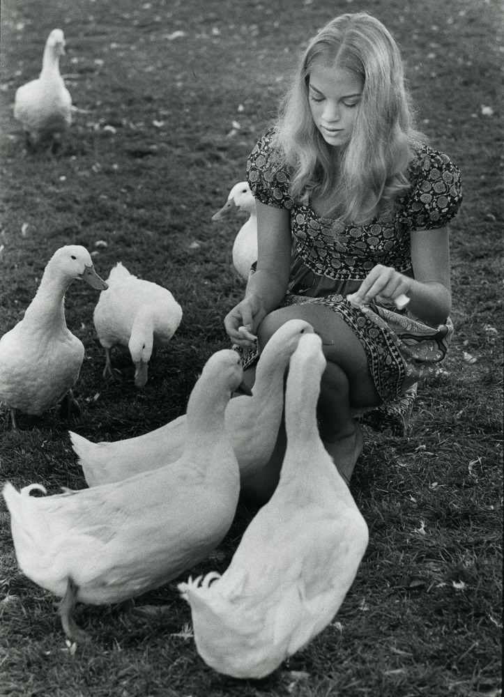 Ann Costan, 1970-1971