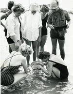 The Breaker Zone, Summer Marine Biology Program -1963
